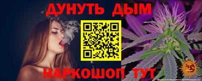 шишки Кандалакша
