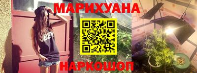 шишки Кандалакша