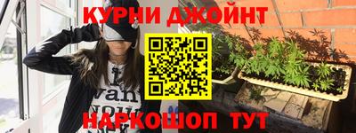 шишки Кандалакша