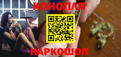 шишки Кандалакша