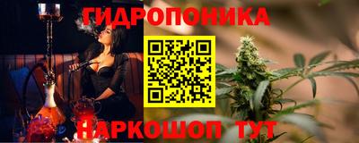 шишки Кандалакша