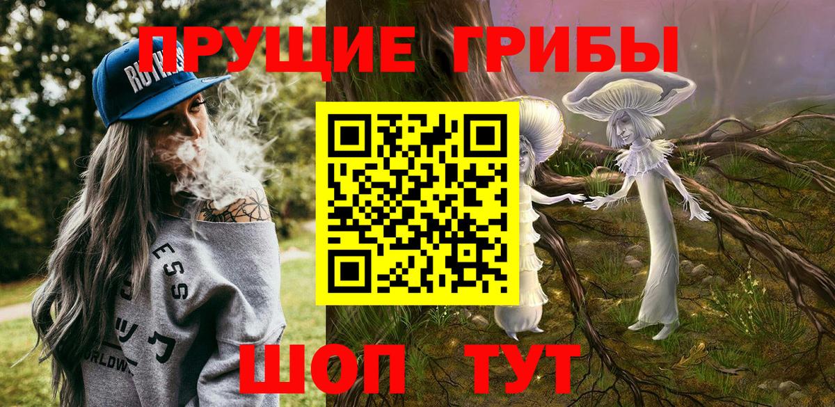 Лангепас  Псилоцибиновые грибы Psilocybe  как найти   Вход с VPN 